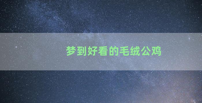 梦到好看的毛绒公鸡