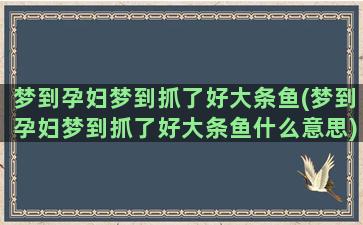 梦到孕妇梦到抓了好大条鱼(梦到孕妇梦到抓了好大条鱼什么意思)