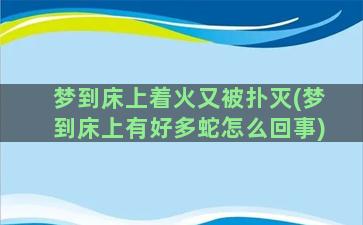 梦到床上着火又被扑灭(梦到床上有好多蛇怎么回事)