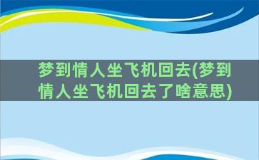 梦到情人坐飞机回去(梦到情人坐飞机回去了啥意思)