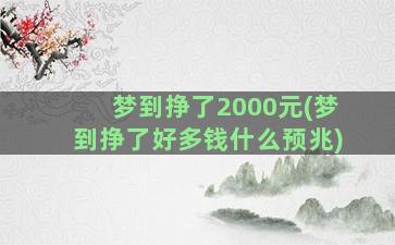 梦到挣了2000元(梦到挣了好多钱什么预兆)