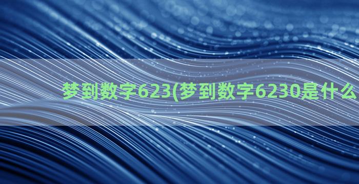 梦到数字623(梦到数字6230是什么意思啊)