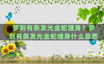 梦到有条发光金蛇缠身？梦到有条发光金蛇缠身什么意思