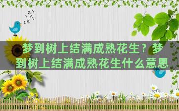 梦到树上结满成熟花生？梦到树上结满成熟花生什么意思