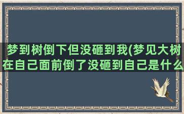 梦到树倒下但没砸到我(梦见大树在自己面前倒了没砸到自己是什么意思)