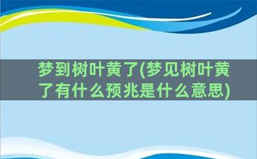 梦到树叶黄了(梦见树叶黄了有什么预兆是什么意思)