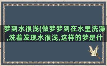 梦到水很浅(做梦梦到在水里洗澡,洗着发现水很浅,这样的梦是什么意思)