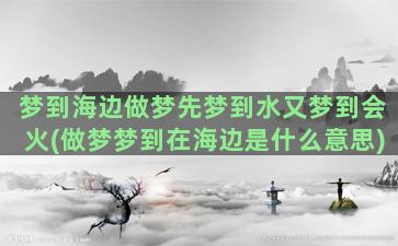 梦到海边做梦先梦到水又梦到会火(做梦梦到在海边是什么意思)