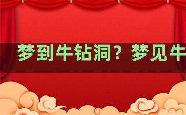 梦到牛钻洞？梦见牛钻洞