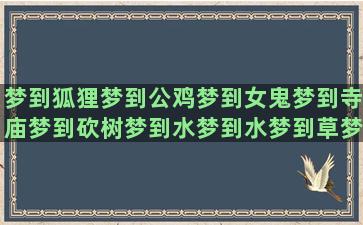 梦到狐狸梦到公鸡梦到女鬼梦到寺庙梦到砍树梦到水梦到水梦到草梦到迷路梦到龙梦到血梦到钱梦到水梦到鱼梦到狗熊梦到猫梦到妈妈梦到大舅梦到棺材梦到鱼梦到有猫(孕妇梦到狐