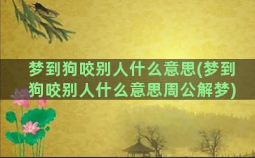 梦到狗咬别人什么意思(梦到狗咬别人什么意思周公解梦)