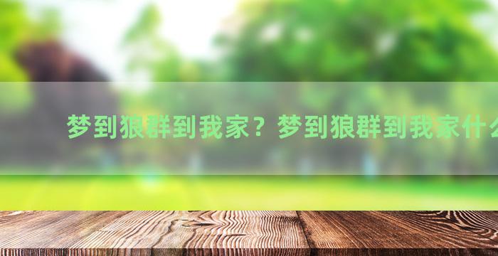 梦到狼群到我家？梦到狼群到我家什么意思