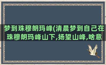 梦到珠穆朗玛峰(清晨梦到自己在珠穆朗玛峰山下,扬望山峰,啥意思呀)