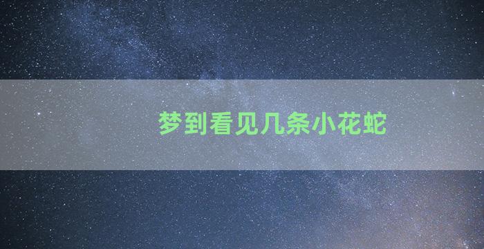 梦到看见几条小花蛇