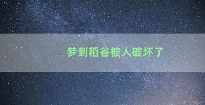 梦到稻谷被人破坏了