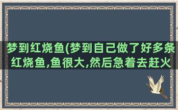 梦到红烧鱼(梦到自己做了好多条红烧鱼,鱼很大,然后急着去赶火车)