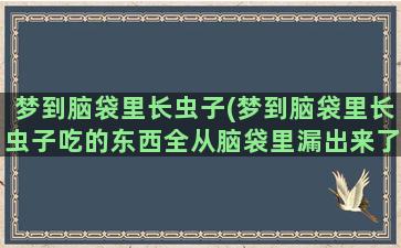 梦到脑袋里长虫子(梦到脑袋里长虫子吃的东西全从脑袋里漏出来了)