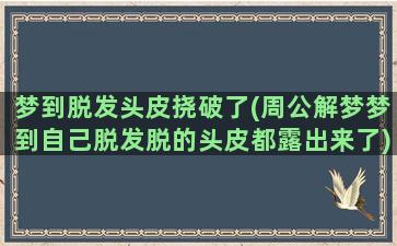 梦到脱发头皮挠破了(周公解梦梦到自己脱发脱的头皮都露出来了)