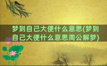 梦到自己大便什么意思(梦到自己大便什么意思周公解梦)