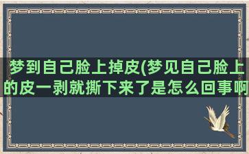 梦到自己脸上掉皮(梦见自己脸上的皮一剥就撕下来了是怎么回事啊)