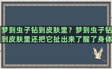 梦到虫子钻到皮肤里？梦到虫子钻到皮肤里还把它扯出来了醒了身体疼