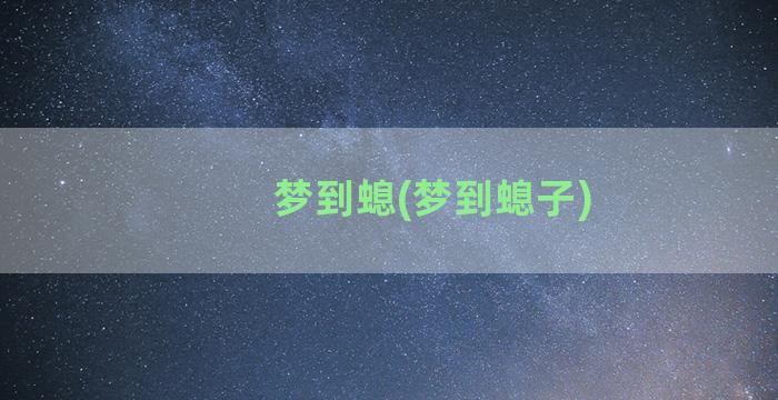 梦到螅(梦到螅子)