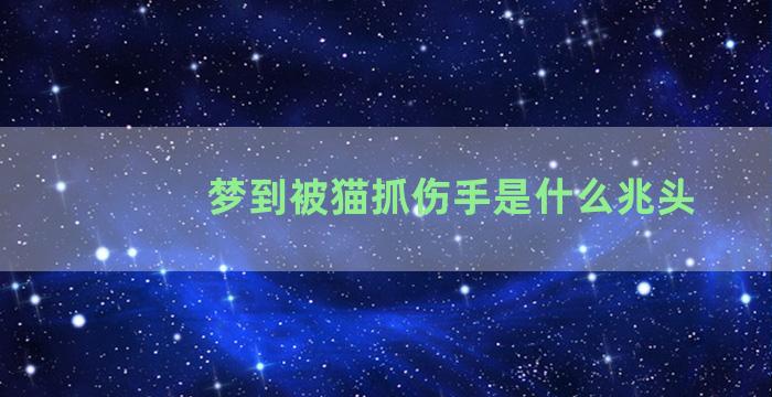 梦到被猫抓伤手是什么兆头