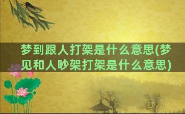 梦到跟人打架是什么意思(梦见和人吵架打架是什么意思)