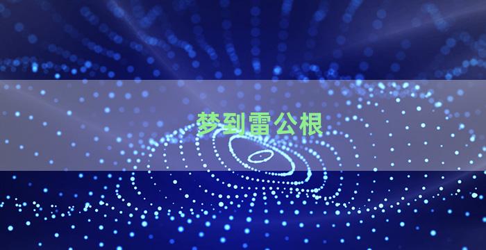 梦到雷公根