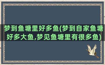 梦到鱼塘里好多鱼(梦到自家鱼塘好多大鱼,梦见鱼塘里有很多鱼)