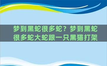 梦到黑蛇很多蛇？梦到黑蛇很多蛇大蛇跟一只黑猫打架