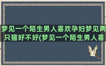 梦见一个陌生男人喜欢孕妇梦见两只猫好不好(梦见一个陌生男人喜欢我是什么意思)