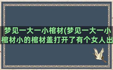 梦见一大一小棺材(梦见一大一小棺材小的棺材盖打开了有个女人出来了)