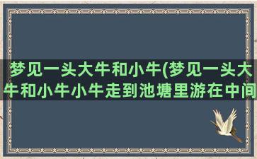 梦见一头大牛和小牛(梦见一头大牛和小牛小牛走到池塘里游在中间站着)