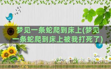 梦见一条蛇爬到床上(梦见一条蛇爬到床上被我打死了)