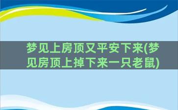 梦见上房顶又平安下来(梦见房顶上掉下来一只老鼠)