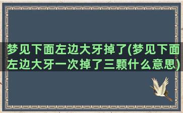 梦见下面左边大牙掉了(梦见下面左边大牙一次掉了三颗什么意思)