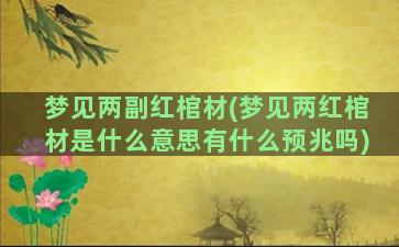 梦见两副红棺材(梦见两红棺材是什么意思有什么预兆吗)