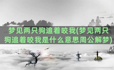 梦见两只狗追着咬我(梦见两只狗追着咬我是什么意思周公解梦)