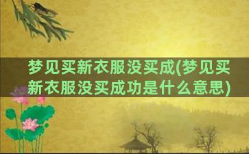 梦见买新衣服没买成(梦见买新衣服没买成功是什么意思)