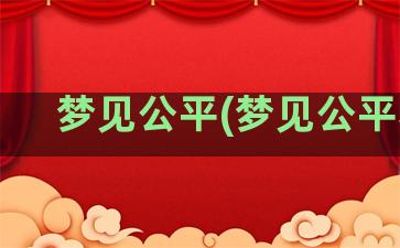 梦见公平(梦见公平称)