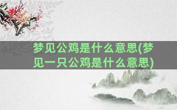 梦见公鸡是什么意思(梦见一只公鸡是什么意思)