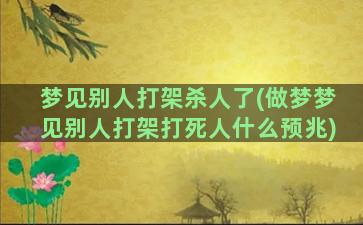 梦见别人打架杀人了(做梦梦见别人打架打死人什么预兆)