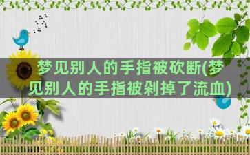 梦见别人的手指被砍断(梦见别人的手指被剁掉了流血)