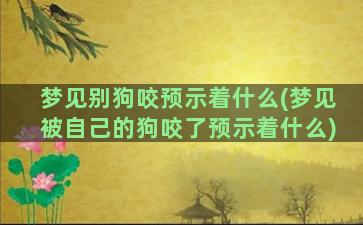 梦见别狗咬预示着什么(梦见被自己的狗咬了预示着什么)