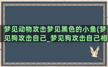 梦见动物攻击梦见黑色的小鱼(梦见狗攻击自己_梦见狗攻击自己相关)