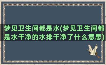 梦见卫生间都是水(梦见卫生间都是水干净的水排干净了什么意思)