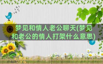 梦见和情人老公聊天(梦见和老公的情人打架什么意思)