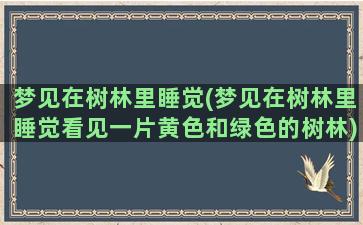 梦见在树林里睡觉(梦见在树林里睡觉看见一片黄色和绿色的树林)