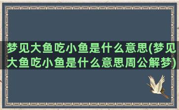 梦见大鱼吃小鱼是什么意思(梦见大鱼吃小鱼是什么意思周公解梦)